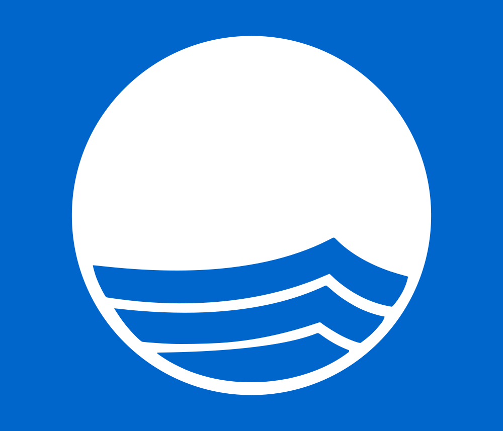 1200px-Blue_Flag_Logo.svg