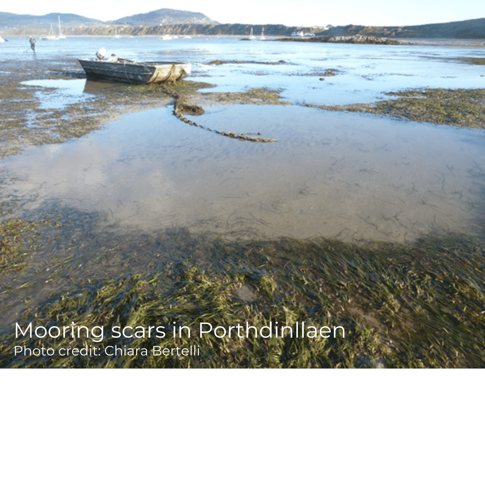 Mooring scars in Porthdinllaen. Advanced Mooring Systems could help to reduce this damage.