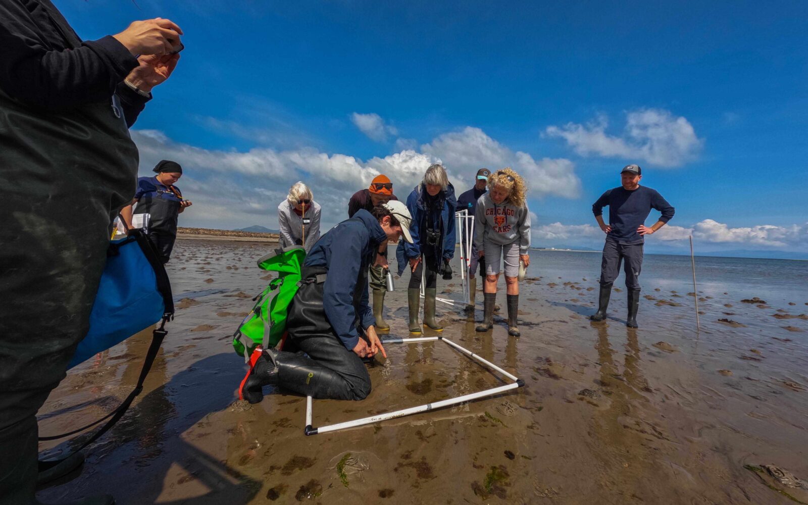A group of Project Seagrass staff and volunteers are gathered on a beach in North Wales as part of our May fieldwork. Our North Wales project lead is kneeling by a quadrat providing a demonstration of how to monitor seagrass.
