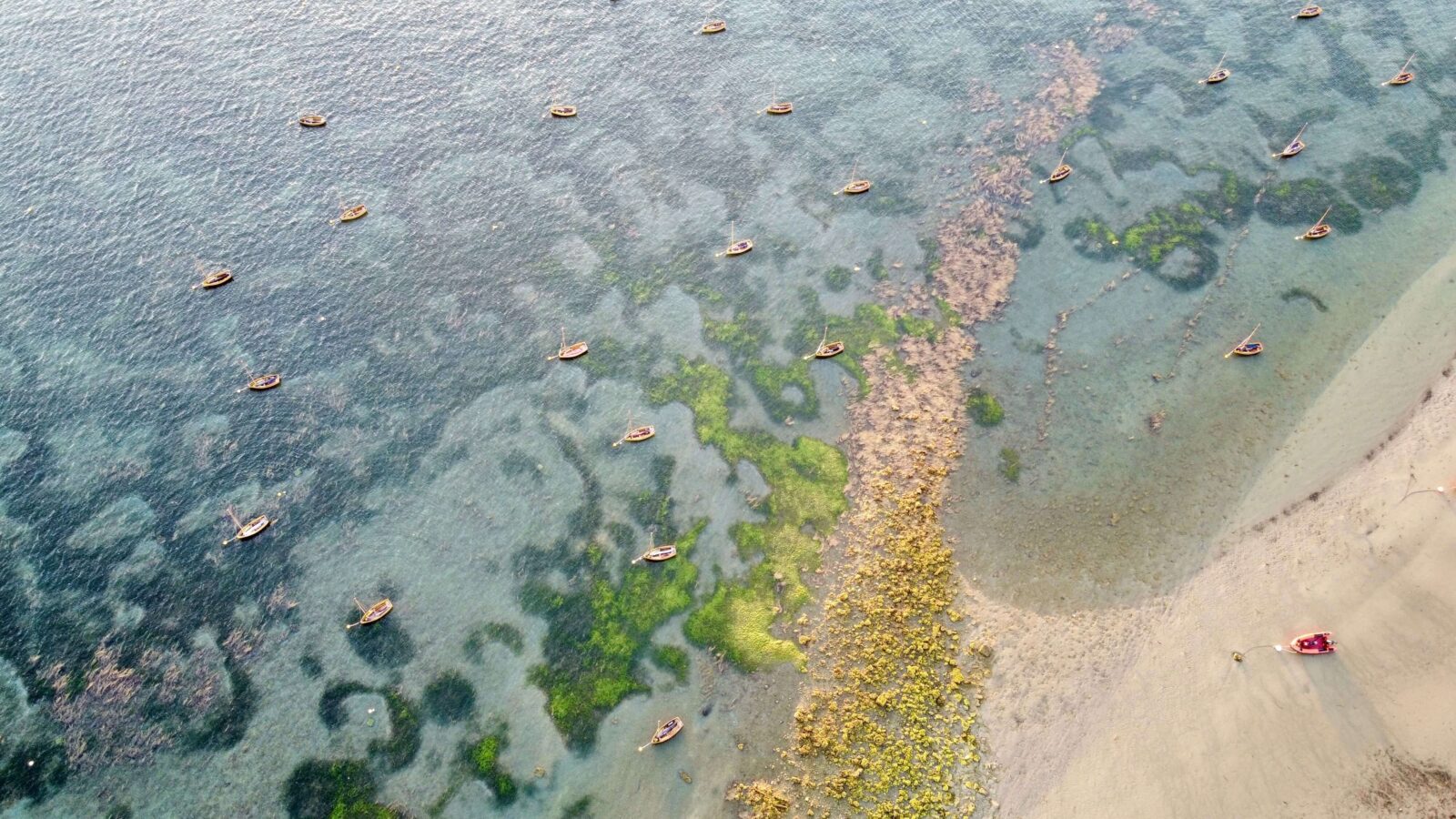UAV imagery depicting mooring scars within seagrass meadow at Seaview, Isle of Wight. Photo credit: Anouska Mendzil