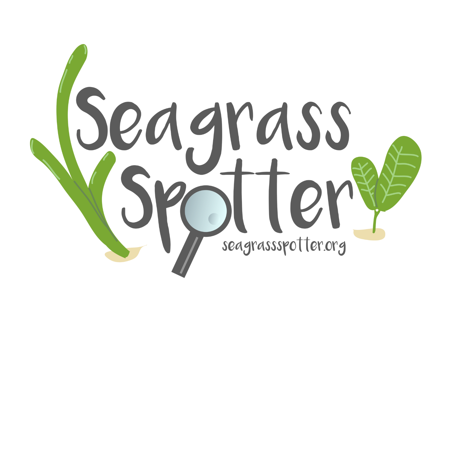 Seagrass Spotter Logo