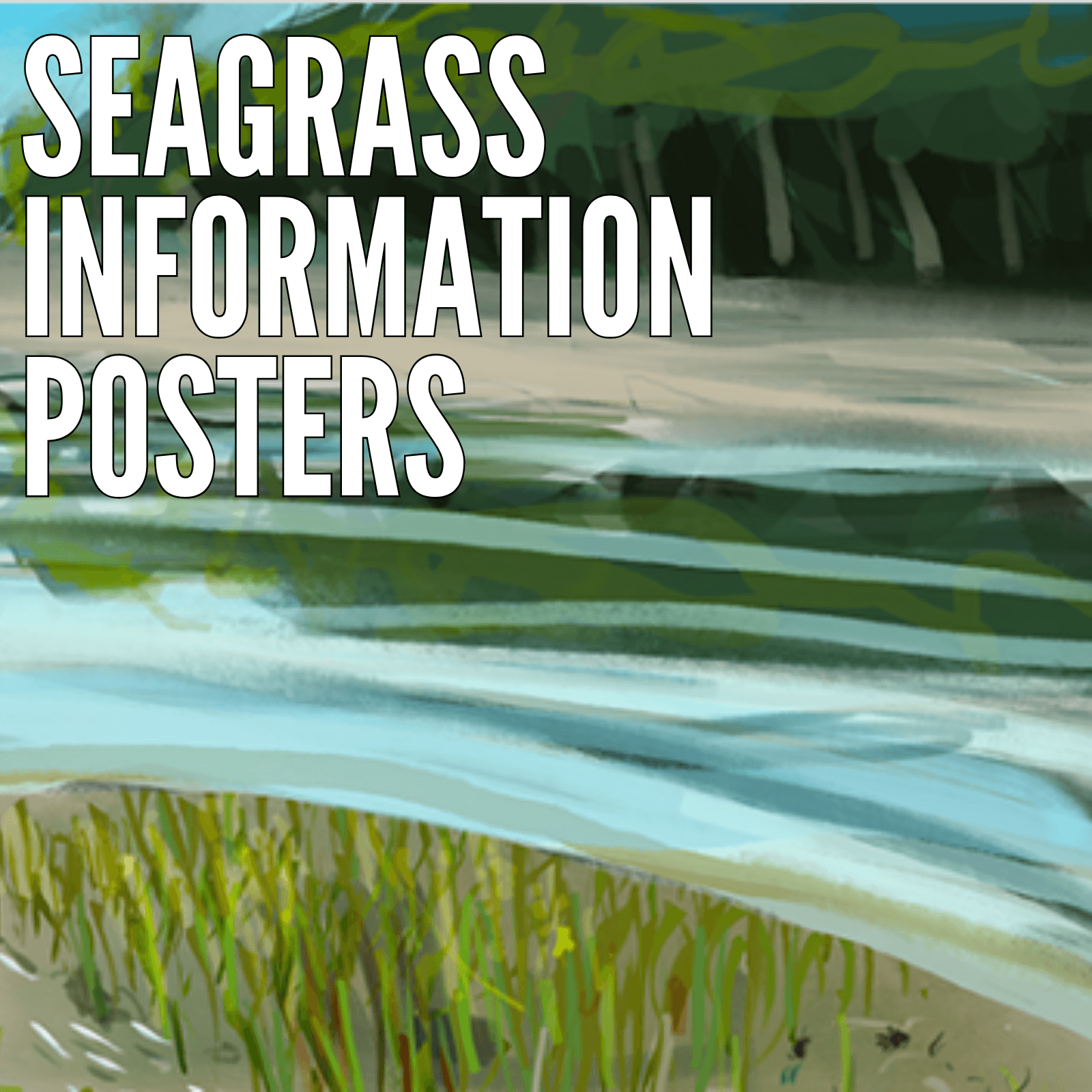 An illustration of seagrass with the text "Seagrass Information Posters" overlayed