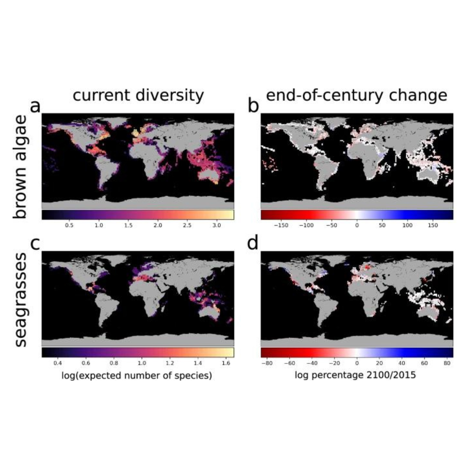 Four graphs outlining the present distribution and projected end-of-century changes in global macrophyte species diversity.